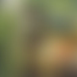 Crescent unveil the expansive two-part offering 'Milogather'