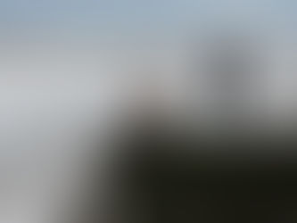 Karenin captivate on their beautiful debut EP 'Ornithology'