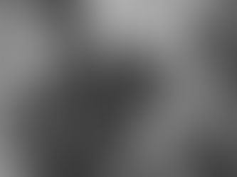 Rosellas - 'Beautiful Lonely'