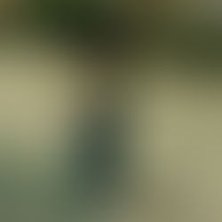 Evan Fong drops explosive new single 'pesos'