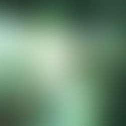 Hailey Hermida captures the chaos of youth on new single '17'