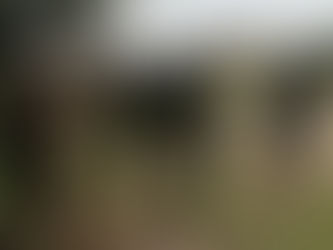 Lost Lot share tender new single 'Noah'