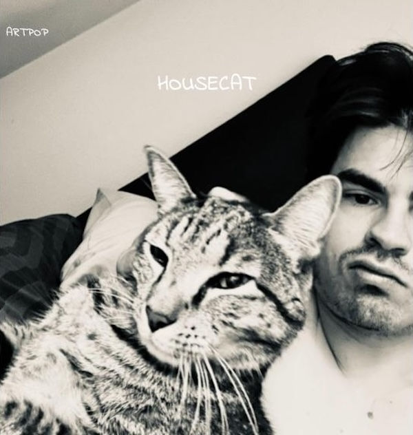 art pop blur the edges of indie and electronica on new album 'housecAt'