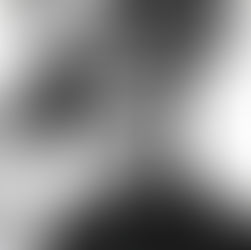 Scopitone's 'Camera Obscura' feels like a mind trying to make sense of the world