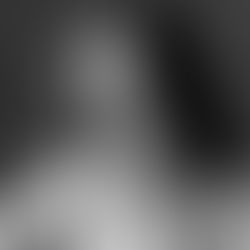 Claudia Balla - 'The Old Magnolia'