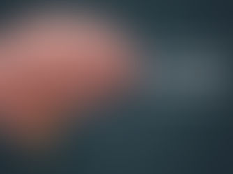 The Brain Is Wired for Survival, Not Long-Term Planning