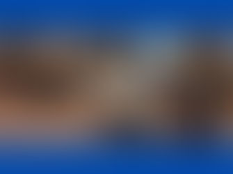 ユーソナー株式会社様、新入社員のみなさまがセッションを受講されている様子。