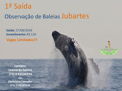 Comunicação Ambiental