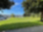 IMG_3271.jpeg