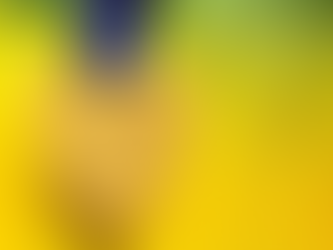 Team SA Commonwealth Games 2026: Mid-Games Progress Update