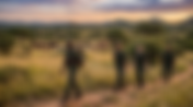 Guardians of the Wild: Commemorating the Frontline Protectors on World Ranger Day