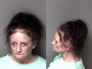 Brandie McAlister Mugshot