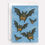Thumbnail: Bats with their bums exposed flying through the air.