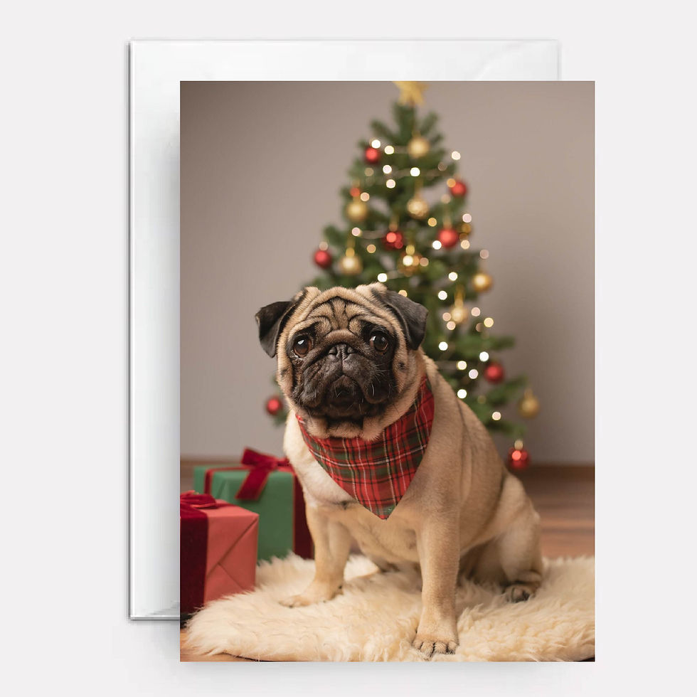 pug on cover of a christmas card
