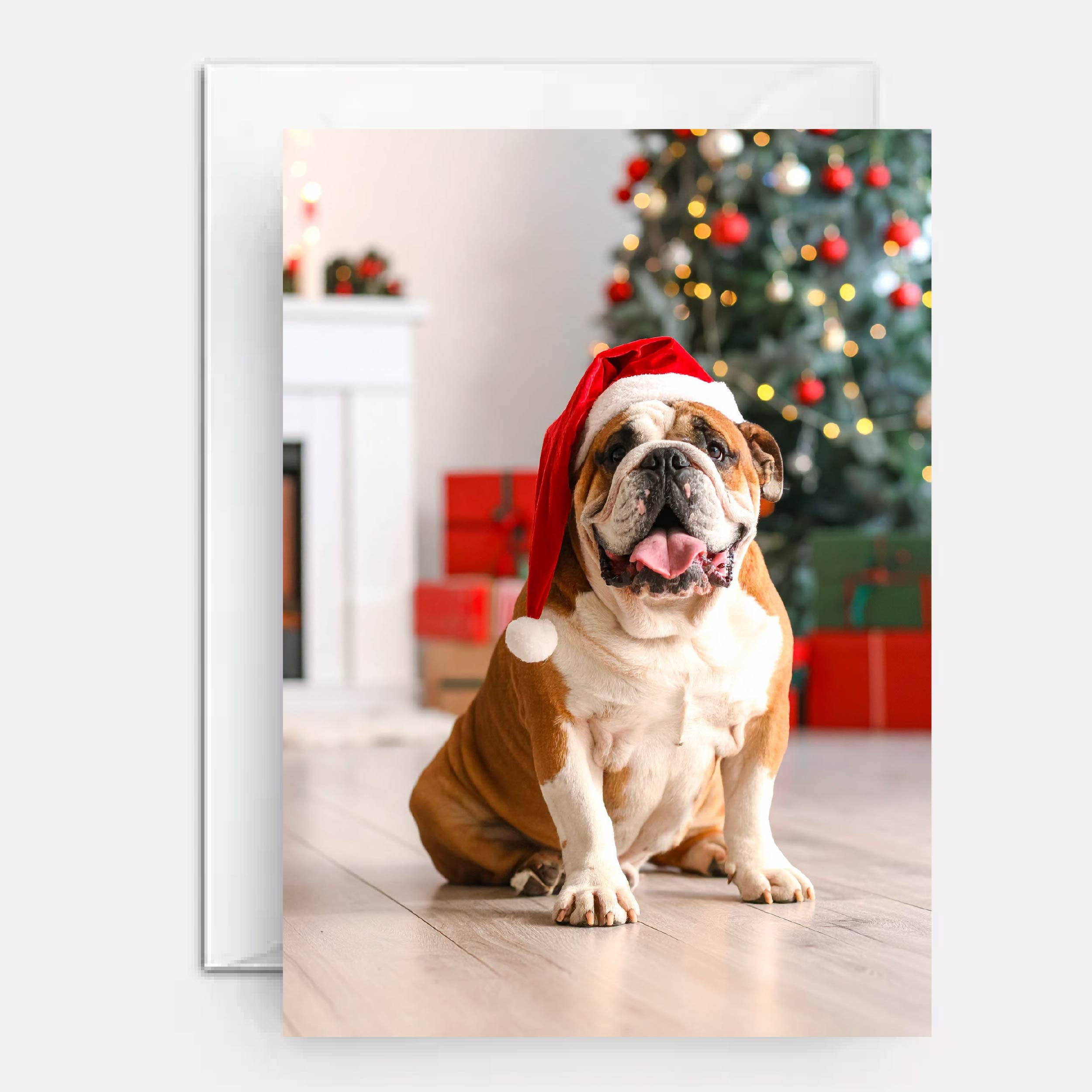 Bulldog on cover of Christmas card.