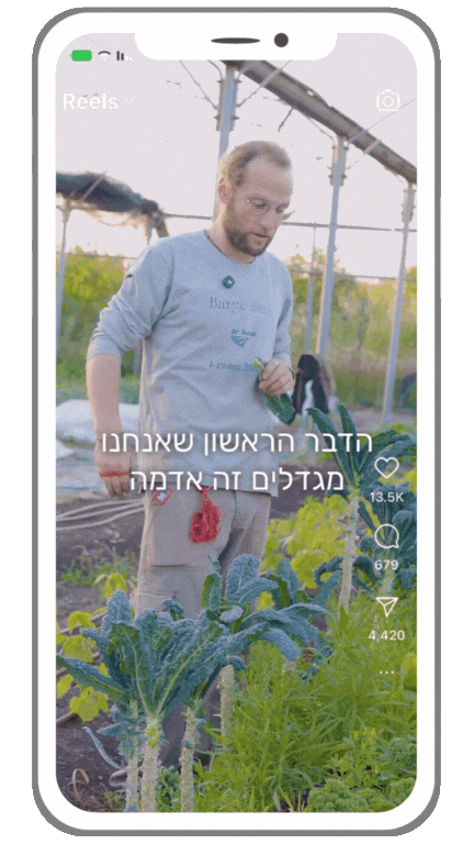 דוגמה של סרטון ריל דייוויסֿ