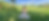 IMG_1157.png