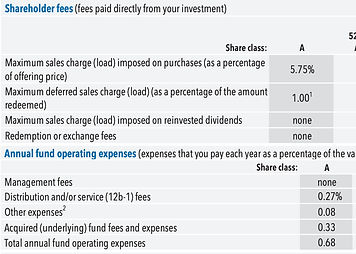 Hidden Fund Fees