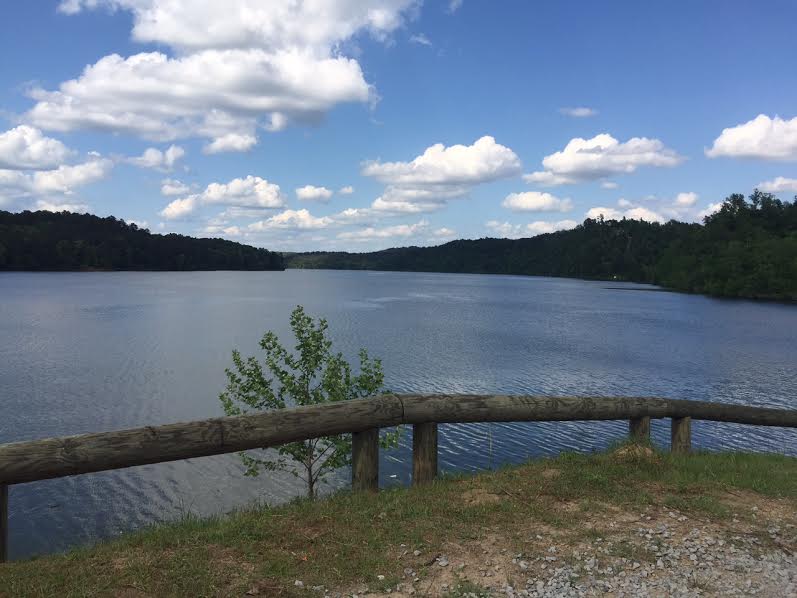 Marina & RV Park Cottondale, AL Eagle Cove Marina