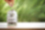istockphoto-813128966-612x612.jpg
