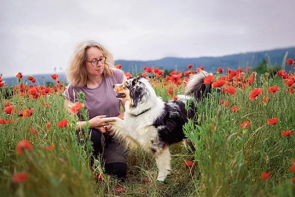 Australian Shepherd Welpen VDH CASD Thüringen Zucht Züchter Welpe Aussie