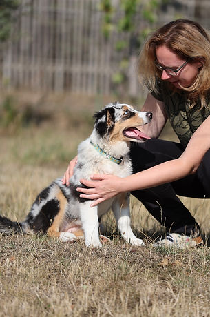 Australian Shepherd Welpe Greenheart Shepherds Thüringen VDH CASD FCI