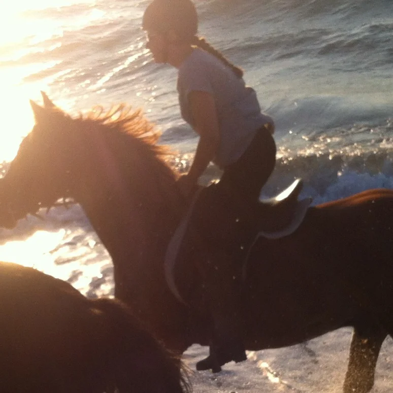 Exclusive Horse Riding Tours Kos Greece Salt Lake Stables