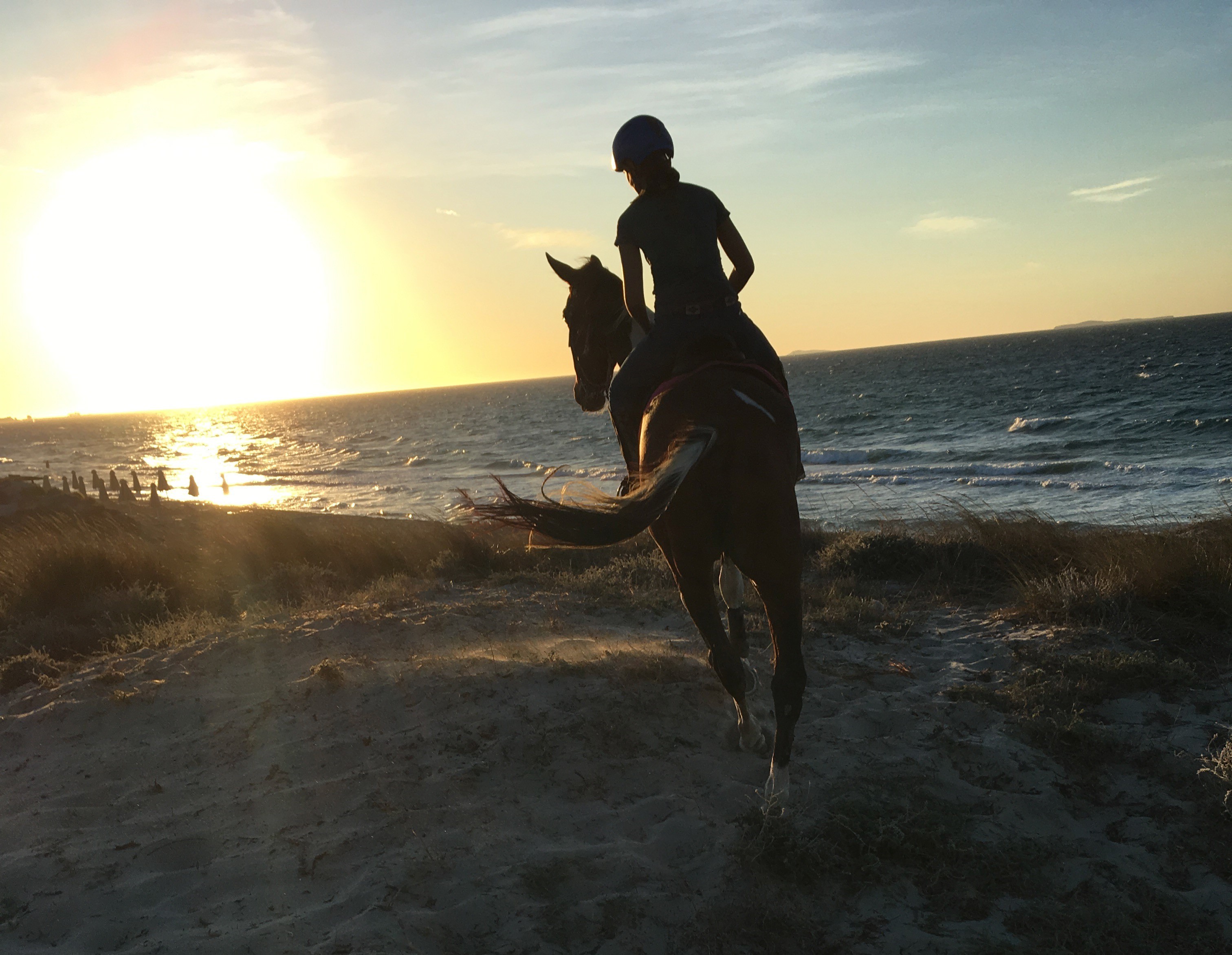 Pferde Reiten Kos Griechenland Salt Lake Stables