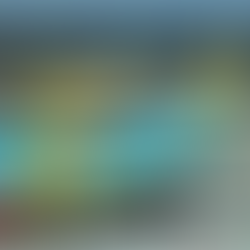 JAPON SUSPENDE LA ENTRADA A EXTRANJEROS