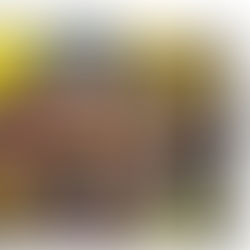 EL MUNDIAL DE COSPLAY EL World Cosplay Summit  ¿SE HARÁ?