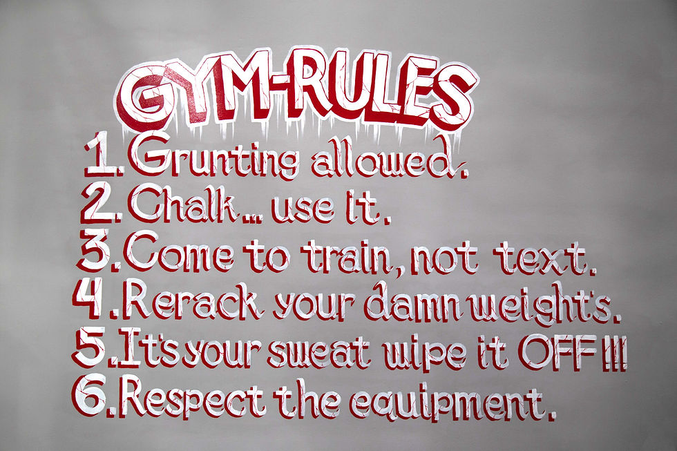 Virtual Tour & Gallery Iron Factory Gym