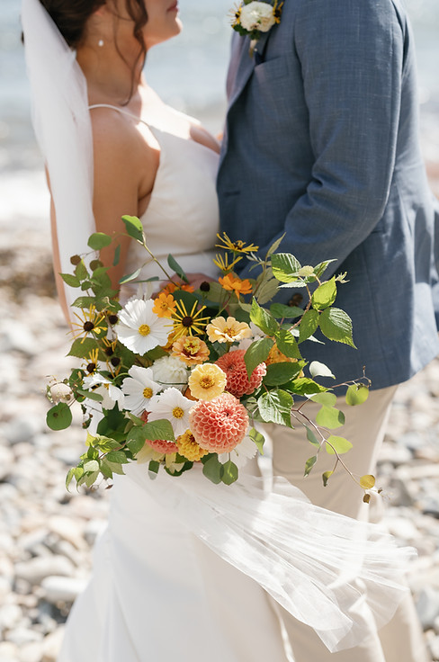 Acadia National Park Wedding