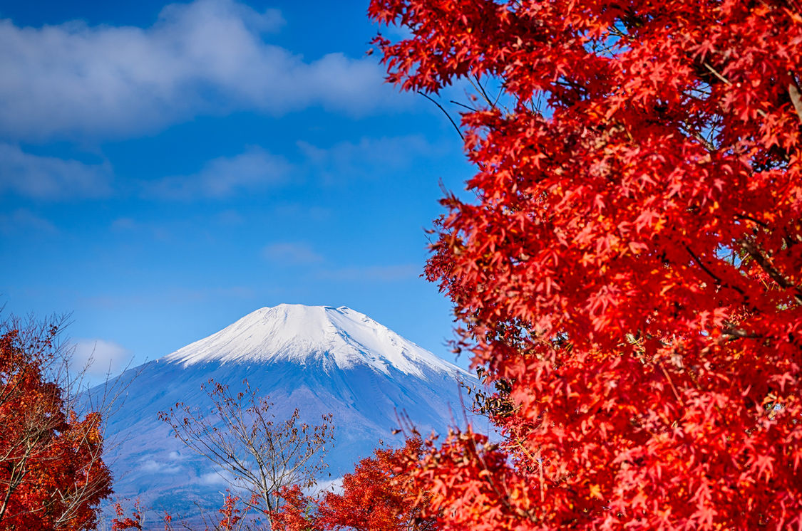 Mount Fuji Japan autumn photography tour workshop