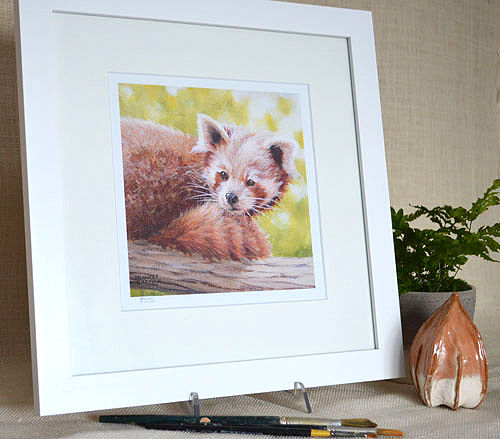 Thumbnail: Watching Red Panda Prints
