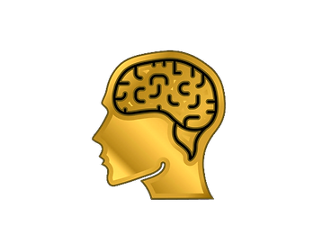 brain_edited.png
