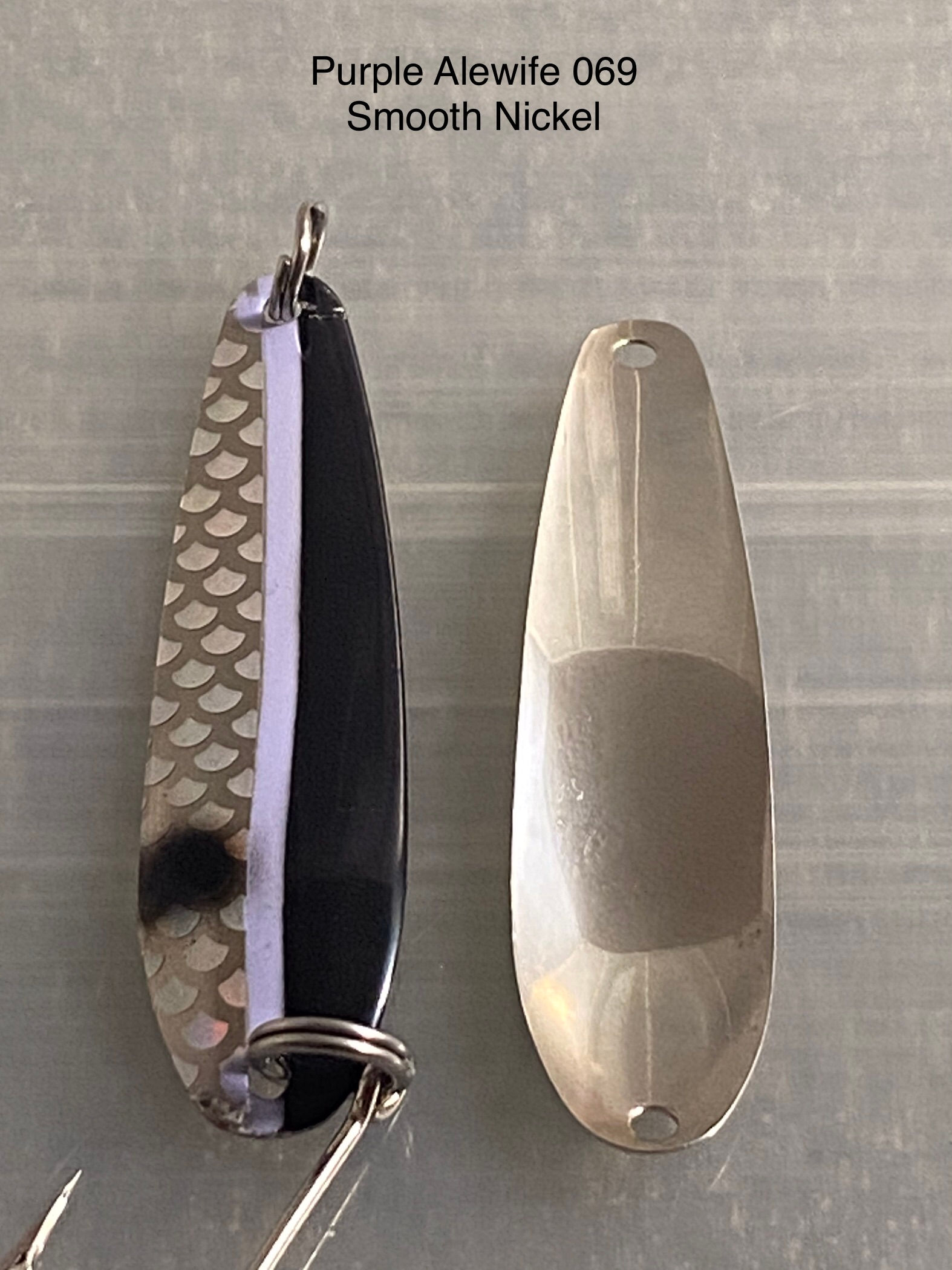 PURPLE ALEWIFE 069