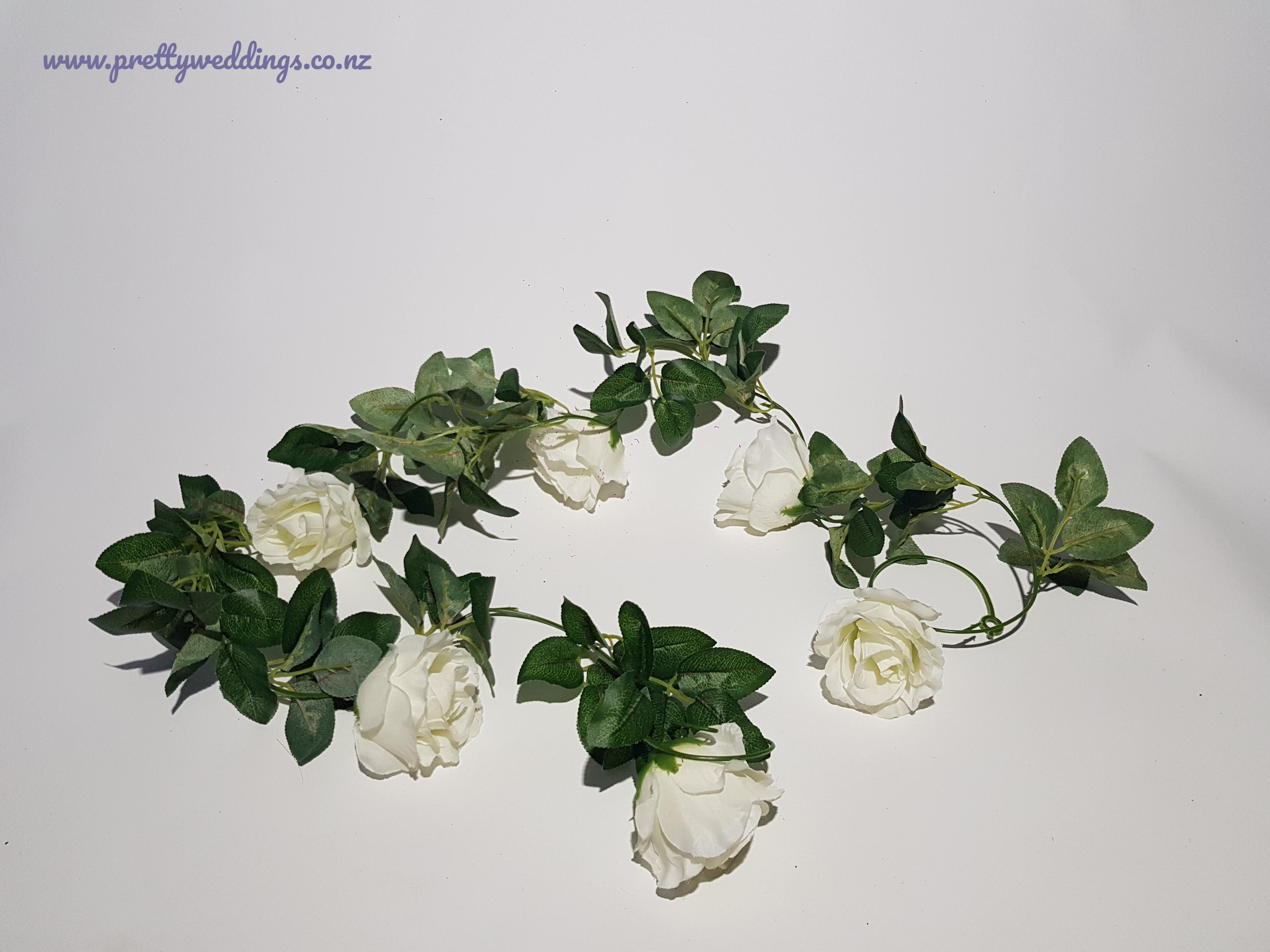 rose vine