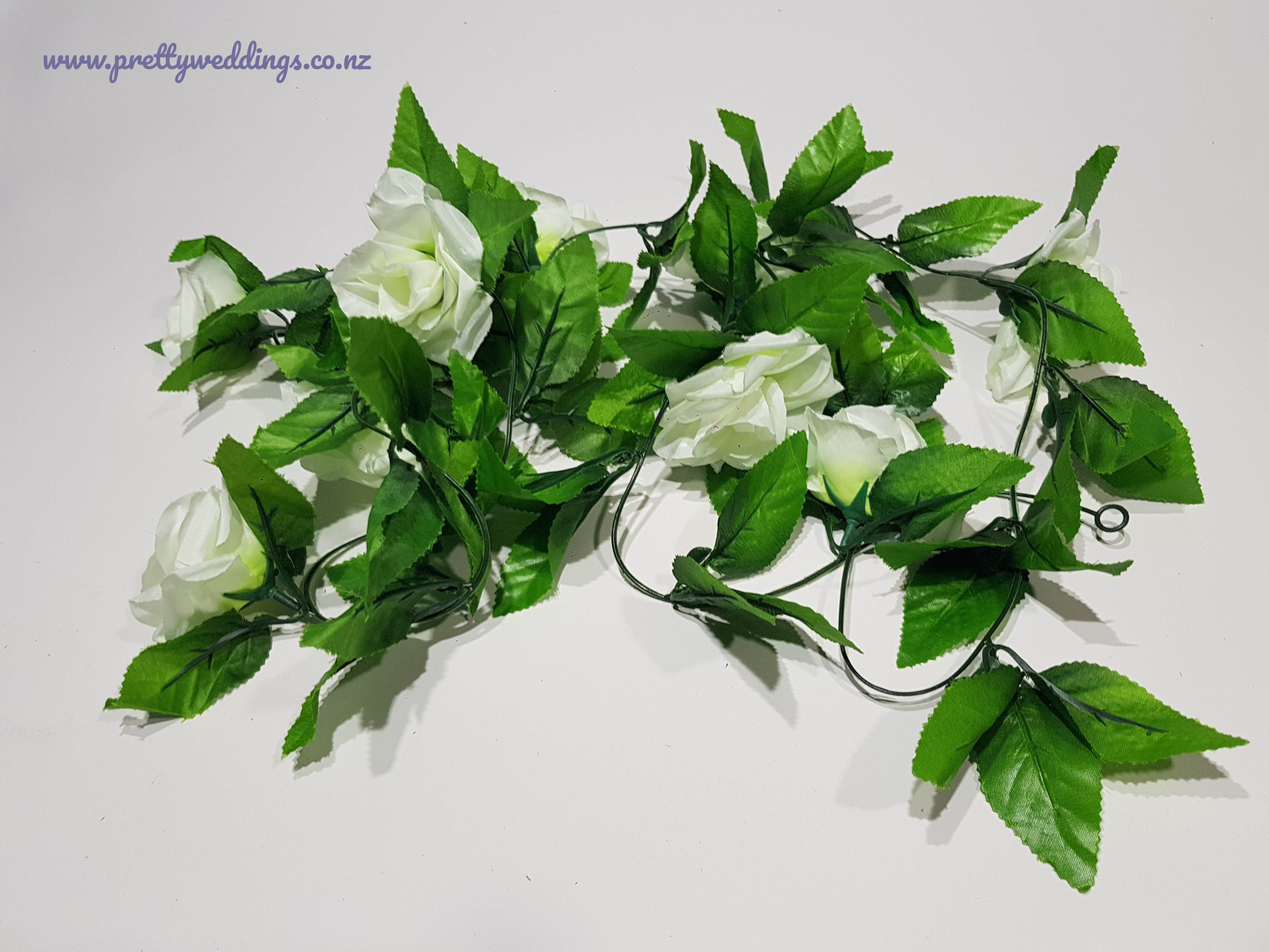 rose vine