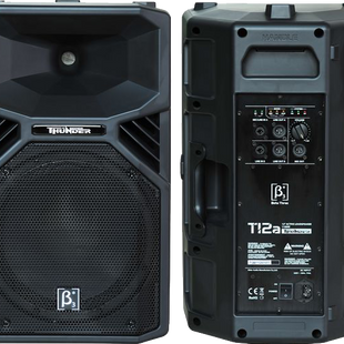 (6) $120 2 x 12 INCH 1100watt Active Pro