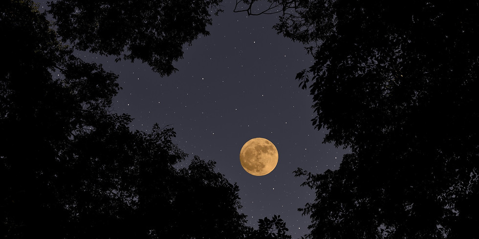 Full Moon Ritual with Karissa Dean