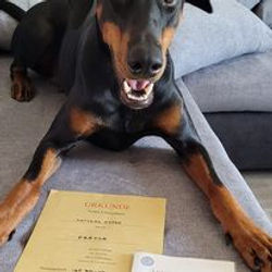 290655461_554632973022789_205837357070868069_n