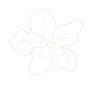 ova1_edited_edited.png