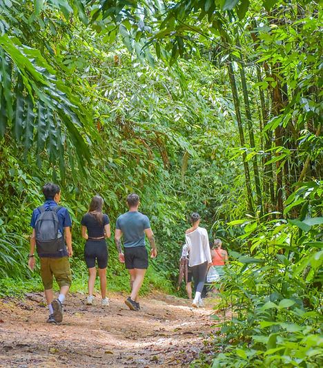 Hiking Khaosok National Park (84).jpg