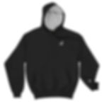 Thumbnail: Alpine Air Champion Hoodie