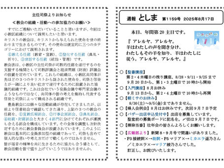 週間予定：2025年8月3週目