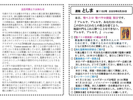 週間予定：2025年6月5・7月1週目