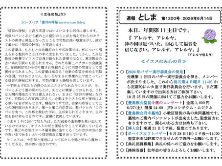 週間予定：2026年6月2週目