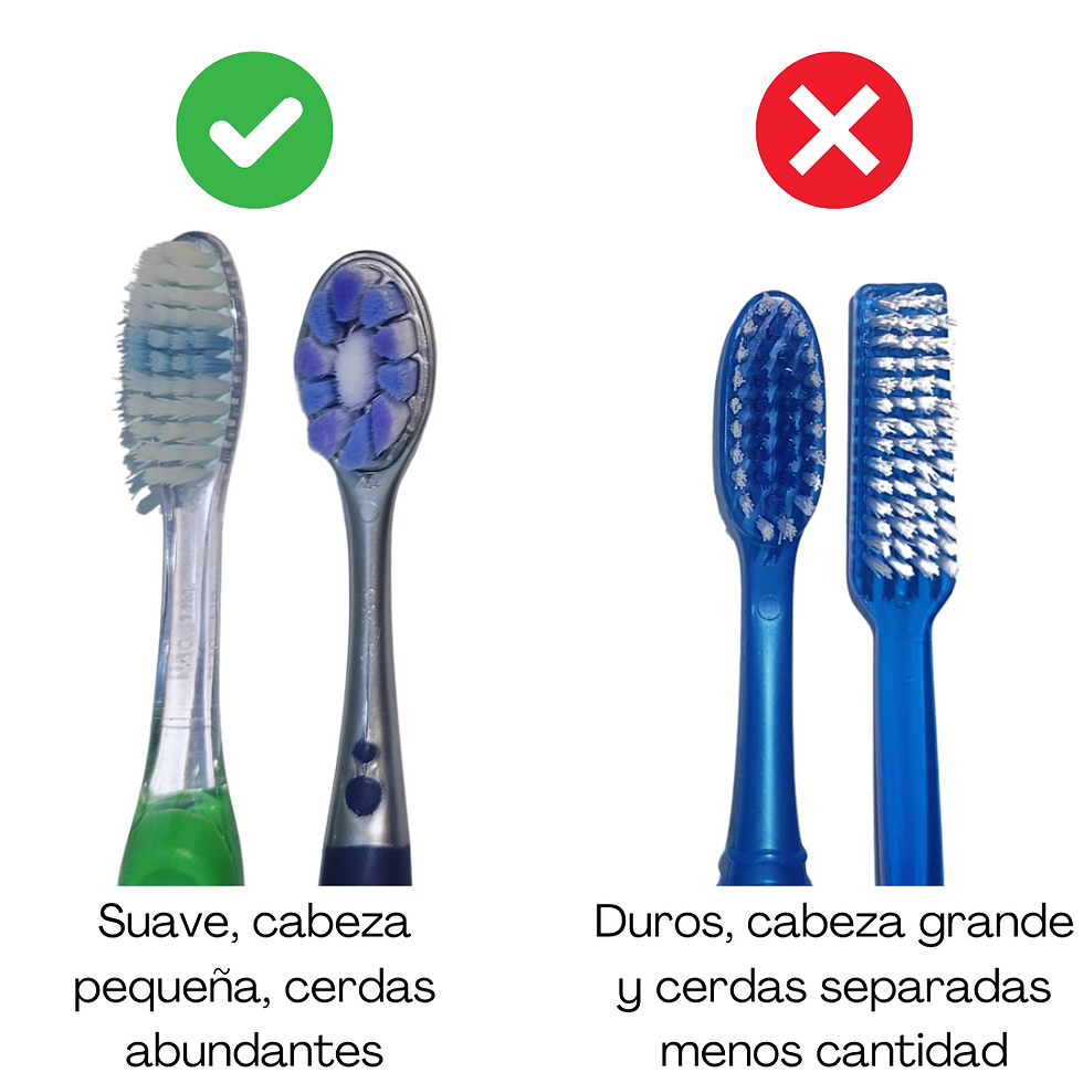 Dos tipos de cepillos dentales. Adecuados los suaves cabeza pequeña