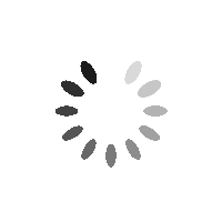 spinner.gif