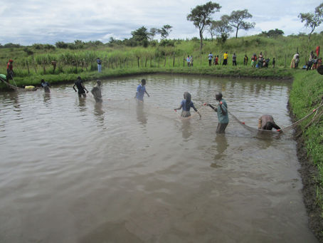 Transforming Lives: The Impact of SSHJM in Amuru District